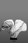 Duality of Beauty - Vase