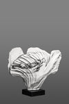 Duality of Beauty - Vase
