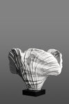 Duality of Beauty - Vase