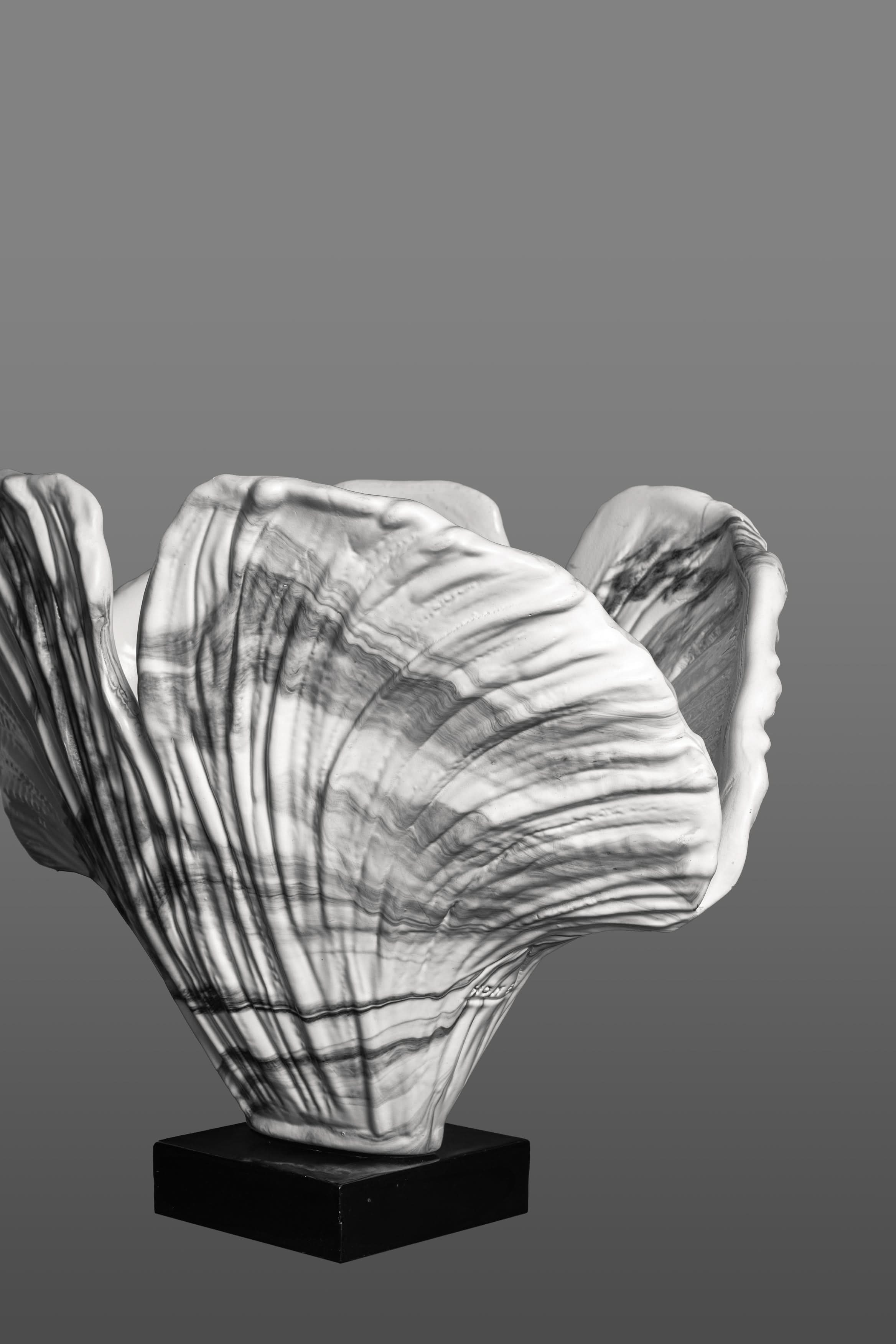 Duality of Beauty - Vase