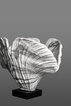 Duality of Beauty - Vase