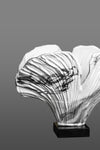 Duality of Beauty - Vase
