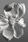 Ethereal Bloom - Wall Dećor