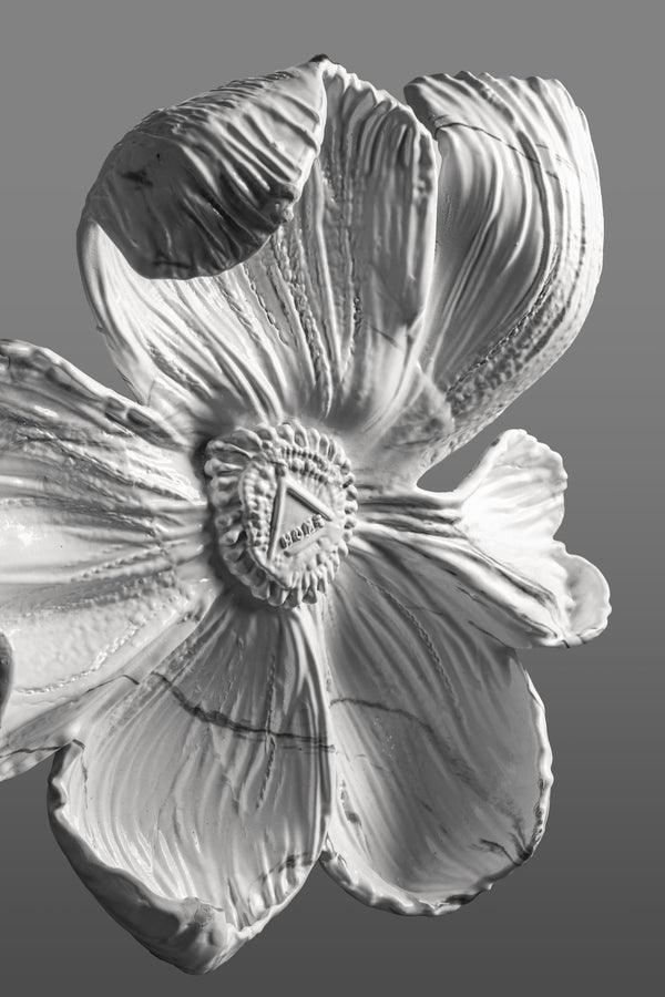 Ethereal Bloom - Wall Dećor