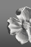 Ethereal Bloom - Wall Dećor