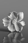 Ethereal Bloom - Wall Dećor