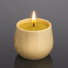 Rooted Light - Scented Candles - ACad Home