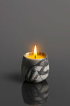 Rooted Light - Scented Candles - ACad Home