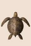The Symbol of Steadfastness - Sculpture - ACad Home