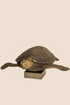The Symbol of Steadfastness - Sculpture - ACad Home